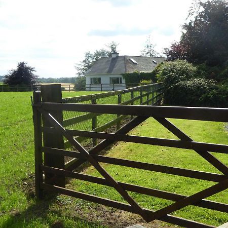 Bed and Breakfast Broadacre Farm à Stabannan Extérieur photo