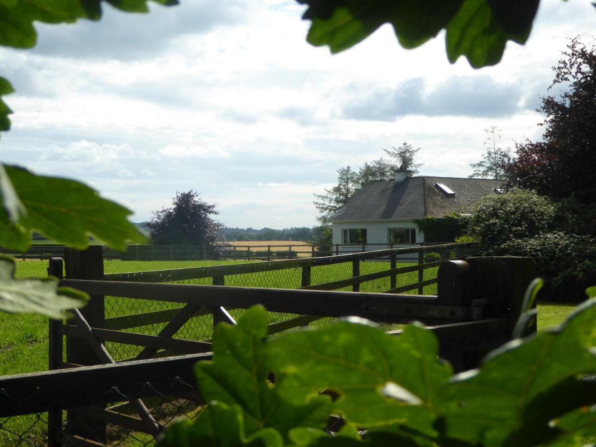 Bed and Breakfast Broadacre Farm à Stabannan Extérieur photo